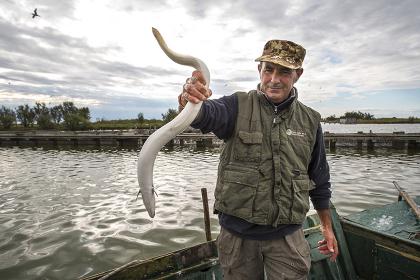 Piercarlo-Pescatore di anguille a Comacchio