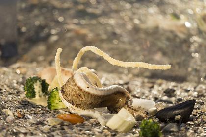 Pescato fresco-Ristorante Da Guido