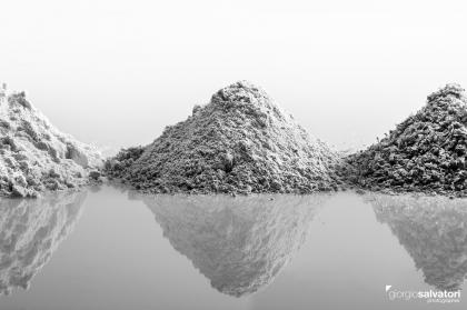 Kalamaro Piadinaro-Farine