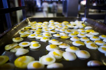 Uova di quaglia-SQUISITO! San Patrignano